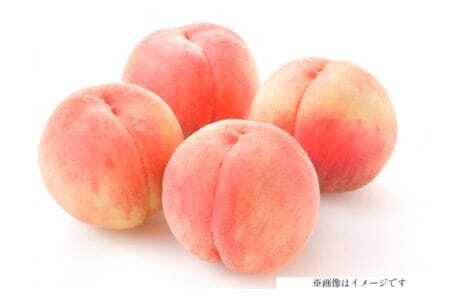 【期間限定発送】 高畠町産 桃 6～10玉 3kg [JA山形おきたま 山形県 高畠町 tk06ays870044] 桃 もも モモ フルーツ くだもの 果物