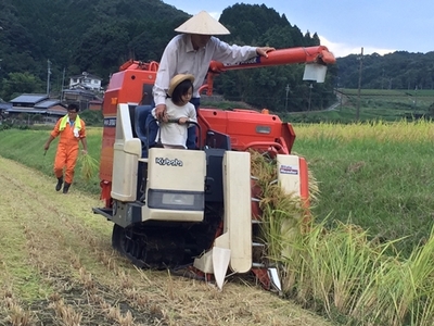 食味値80点以上　お米　精米　にじのきらめき　３ｋｇ／民ちゃん農園　キャンプ　有機肥料　ハイグレード　極上　おいしい米　ミネラル　奈良県　宇陀市　大和高原