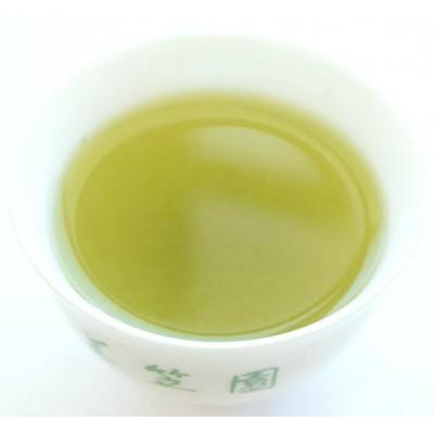 ふるさと納税 掛川市 新芽の粉茶(深蒸し掛川茶)一番茶の新芽から摘み取られる香りの良い粉茶  200g×5袋 計1kg |  | 01