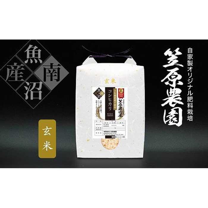 【令和７年産】南魚沼産 笠原農園米 十年間農薬不使用コシヒカリ玄米 5kg