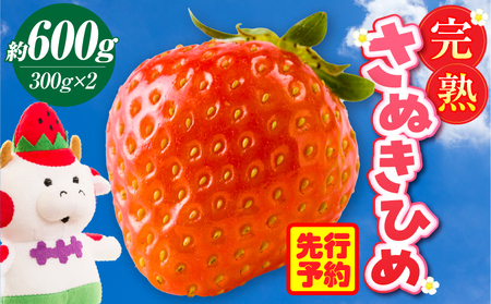 完熟さぬき姫　約600g_mk035-007