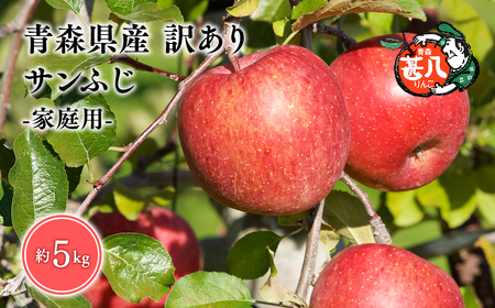 りんご 家庭用　サンふじ５kg　 [hi-0058-011-3]