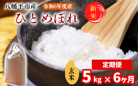 【2024年11月発送開始】 令和6年産 新米 岩手県産 ひとめぼれ 玄米 5kg× 6ヶ月定期便 ／ 米 産地直送 農家直送 【中沢農産】