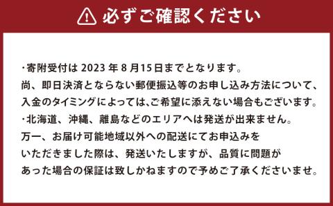 【2023年8月下旬発送開始】熊本県産 あきづき梨 約5kg 10～14玉入り 梨 なし ナシ フルーツ 果物