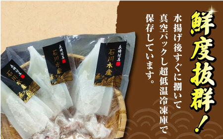 【対馬産】 剣先 イカ 生 冷凍（ 訳アリ ）3枚  [WAB012] いか 剣先いか あかいか イカ焼き シロイカ ケンサキイカ