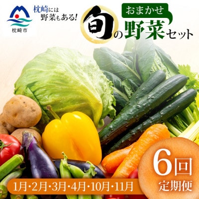 【発送月固定定期便】枕崎には野菜もある!!定番・旬の野菜お任せセット HH0−0002 全6回【配送不可地域：離島】【4057570】