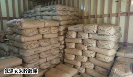 栃木県産コシヒカリ 「米屋の越光」10kg（5kg×2）