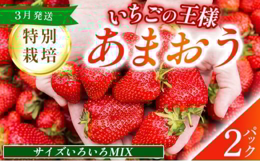 福岡県産 特別栽培 あまおう サイズいろいろMIX 約570g（約285g×2パック）【3月発送】　農園直送 アフター保証 先行予約 福岡産 送料無料 ケーキ ギフト お祝い 限定 季節限定 UN006