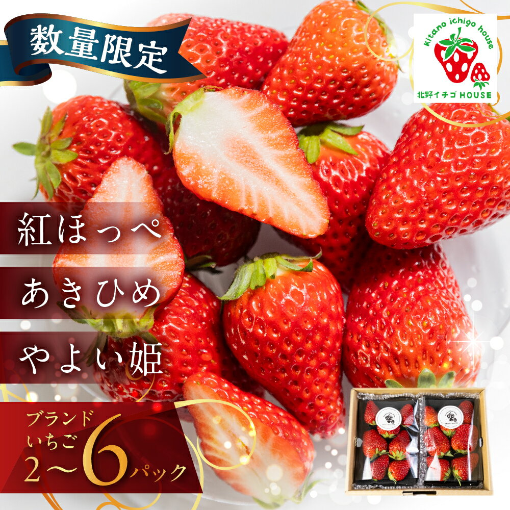 【ふるさと納税】≪今すぐお届け！≫ ブランドいちご 約 500g ~ 1600g 紅ほっぺ あきひめ やよい姫 1kg 1キロ 北野イチゴHOUSE いちご イチゴ 苺 ブランド 甘い 美味しい おススメ 人気 2パック 4パック 6パック 旬 フルーツ 果物 贈答 ギフト 愛知県 豊橋市