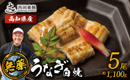 【 鰻白焼 】 国産 うなぎ白焼 1.1kg ( 220g × 5尾 )