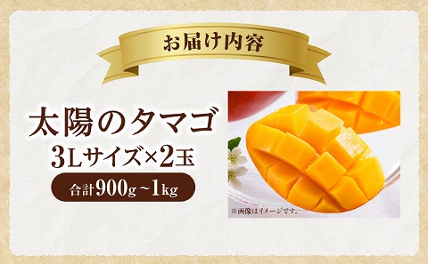 《2025年発送先行予約》【期間・数量限定】太陽のタマゴ 3Lサイズ 2玉