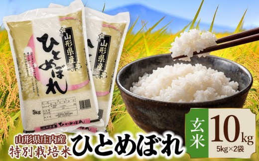 【令和7年産】 特別栽培米 ひとめぼれ 玄米 10kg (5kg×2袋)　山形県 庄内産 　| 10キロ 米 お米 コメ 食品 ご飯 ごはん 美味しい おいしい ブランド米 庄内米 エコ包装 おすすめ 人気 山形県 鶴岡市 東北 国産 お取り寄せ SDGs未来都市鶴岡 返礼品