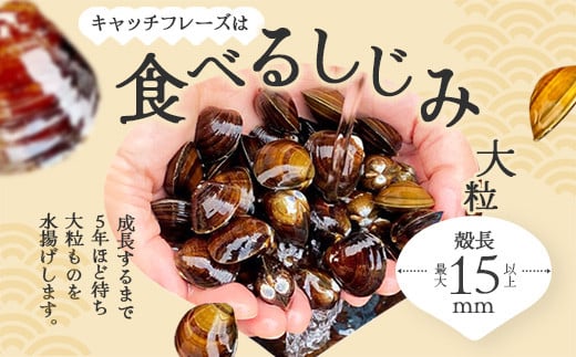 砂抜き済みで手間いらず！冷凍・小川原湖産大和しじみ400g（80g×5袋）　【02408-0159】