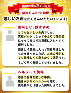 ＼6ヶ月連続 定期便／ 切り落とし 赤身 肉 牛肉 いわて 短角和牛 750g (総計 4,500g) 小分けパック 真空冷凍 | 牛肉 肉 赤身 短角 和牛 国産牛 ブランド牛 切り落し 大容量 牛