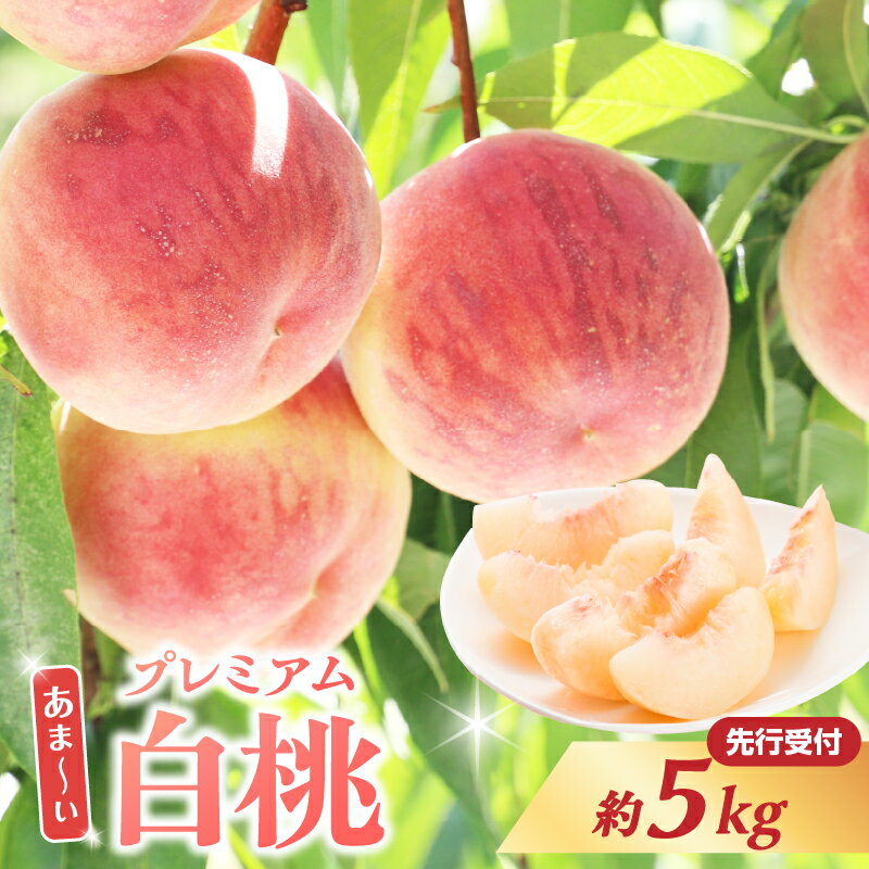【ふるさと納税】 ≪先行受付≫ 甘〜い プレミアム白桃 約5kg【2026年8月中旬頃〜発送予定】