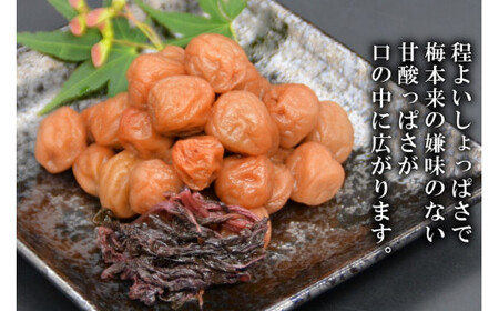 【塩分11％】しそ風味 干し小梅 600g×1 梅干し 国産