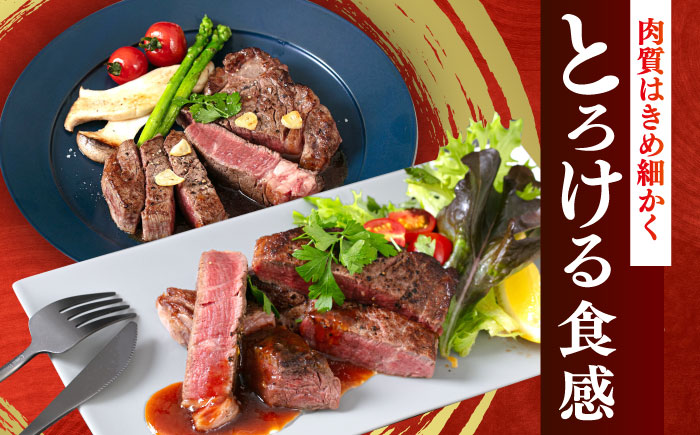 【全12回定期便】国産 博多和牛 A5ランク ヒレ ステーキ 雌 200g × 2枚  ギフトセット≪築上町≫【KRAZY MEAT】 ヒレ ステーキ 和牛 肉 BBQ [ABEN008]