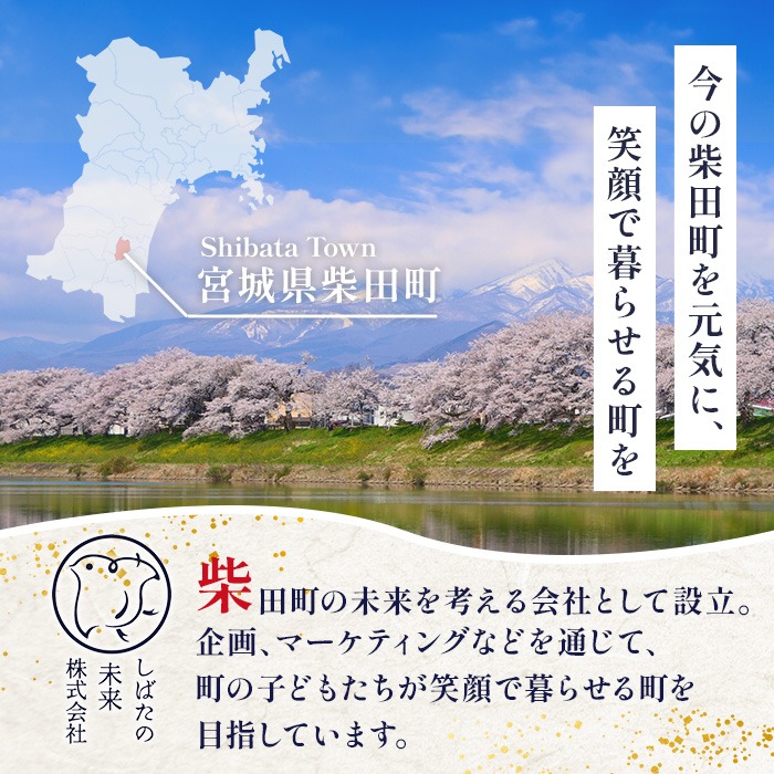 ＜先行予約！2026年10月以降順次発送予定＞【令和8年産 新米】しばたのササニシキ 精米 5kg 柴田町産 お米 おこめ 米 コメ 白米 ご飯 ごはん おにぎり お弁当 ささにしき 新米 【しばたの