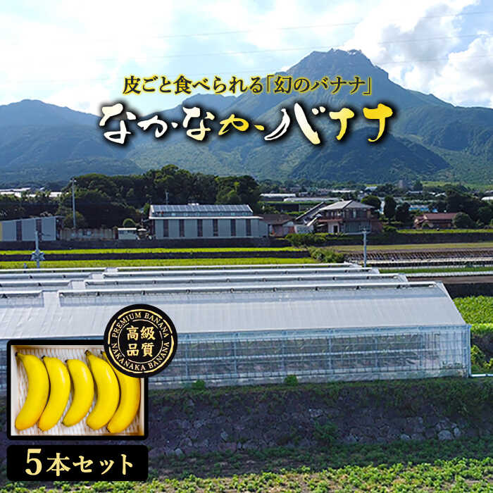【皮ごと食べられる！】なかなかバナナ 5本 / バナナ フルーツ 果物 定期便 フルーツ定期便 / 南島原市 / ミナサポ 【SCW036】