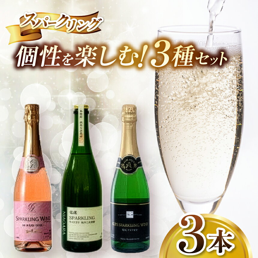 【ふるさと納税】スパークリングワイン 3本セット 720ml各1本 飲み比べ メルロロゼ ナイアガラ白2種 塩尻ワイン 五一わいん 林農園 信濃ワイン アルプス ナイヤガラ メルロー 白 ロゼ 乾杯 食中酒 フルーティ お酒 長野県 塩尻市 信州