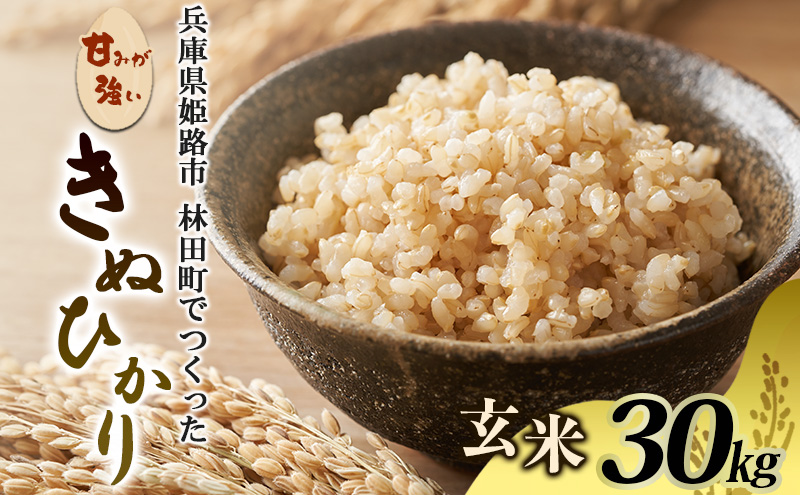 [令和7年産新米]<10月初旬以降発送予定>きぬひかり玄米30キロ 兵庫県姫路市産　新米　白米　米　お米 精米 ご飯 甘みが強い ツヤ キヌヒカリ もっちりとした食感 単一原料米 おいしいお米