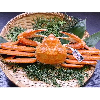 浜坂産タグ付き茹で松葉かに(1枚　約500～600g)【配送不可地域：離島】