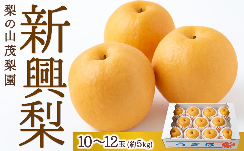 
            【先行予約】 梨の山茂梨園 新興梨 10玉から12玉 （約5kg） 【2025年10月中旬から10月下旬 出荷予定】 梨 なし ナシ 新興 しんこう 果物 くだもの フルーツ 果実 ジューシー お取り寄せ 福岡県 うきは市
          