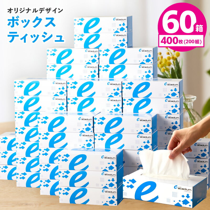【ふるさと納税】特別寄附金額 ボックスティッシュ 60箱 400枚 200組 パルプ100% 日用品 消耗品 防災備蓄 eスポーツ応援 肌ざわり なめらか ソフトタッチ 丈夫 水に濡れた手 快適 ティッシュ ティッシュペーパー 大阪府 泉佐野市 オリジナル 送料無料
