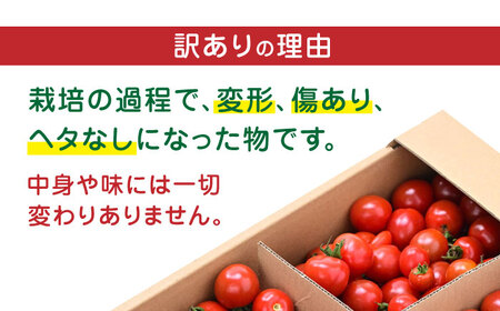 【全2回定期便】【訳あり】【期間限定】熊本県産 減農薬栽培 トマト ミディトマト 3.0kg 詰め合わせ 食べ比べ【矢仁田農園】[YDE009]
