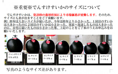 でんすけすいか優品（でんすけすいかピュアゼリー3個とでんすけすいかドロップス1個付き）【A-038】