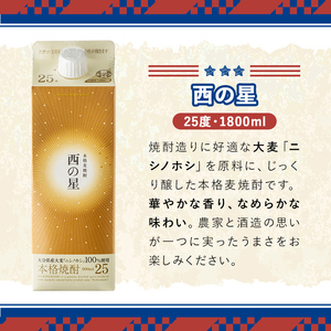いいちこの推奨商品「西の星」地元産麦100％の本格麦焼酎 THE USA Box/DX(計3.6L・1.8L×2本)酒 お酒 麦焼酎 三和酒類 25度 セット 紙パック【114003300】【一般社団