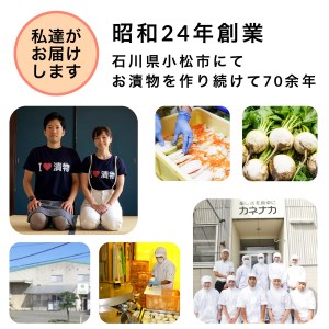 国産甘酢漬らっきょう 10袋 010170