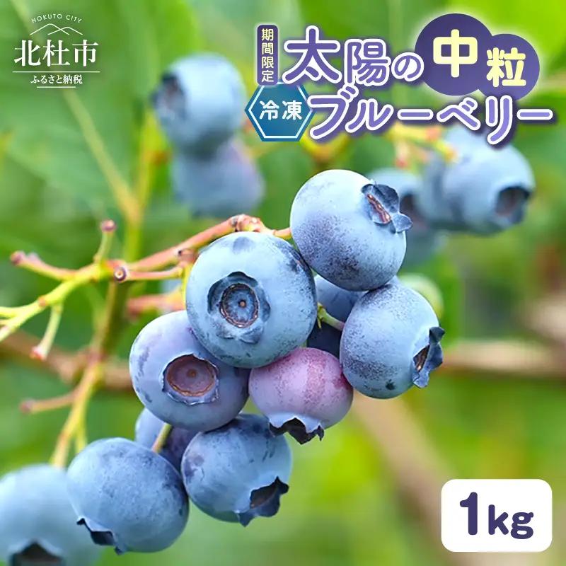 【中粒】山梨県産（明野産）冷凍 ブルーベリー1,000g [h290］