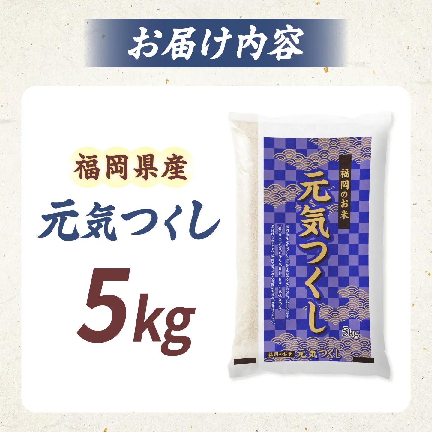 令和7年産 福岡県 元気つくし 5kg [BGBZ004]