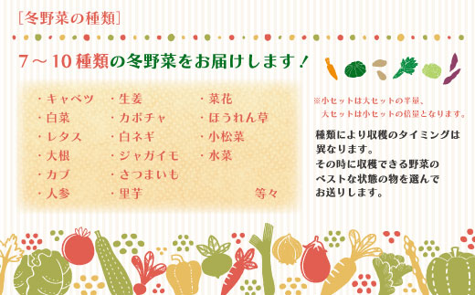 【 2回定期便 早期受付 数量限定 】 とれたて 新鮮 農家直送 アグリユウベの冬野菜セット (小) 国産 野菜セット 野菜便 やさい 野菜 冬野菜 産地直送 国産 旬 高知県 四万十市 四万十 しま