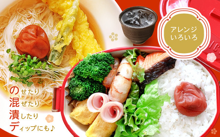 【へしこの町】福井 梅干し 300g × 1個 ＆ 美浜産 へしこ × 1本 Aセット【鯖 サバ さば 福井 美浜 若狭 名産 郷土料理 ぬか漬け 糠漬け 発酵 コシヒカリ つまみ 酒の肴 珍味 伝統