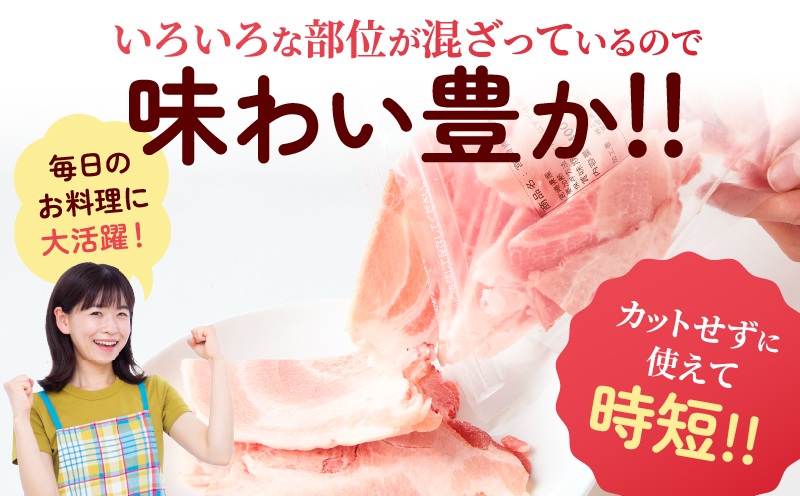宮崎県産 豚こま切れ 計4kg 数量限定 肉 豚肉 小間切れ 豚こま 国産 食品 小分け 時短 便利 万能食材 晩ご飯 おかず お弁当 おつまみ 炒め物 煮物 豚汁 カレー 肉豆腐 冷凍 おすすめ 大