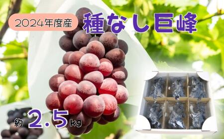【2026年先行予約】訳あり 種なし巨峰バラ房・バラ粒パック約2.5kg 巨峰