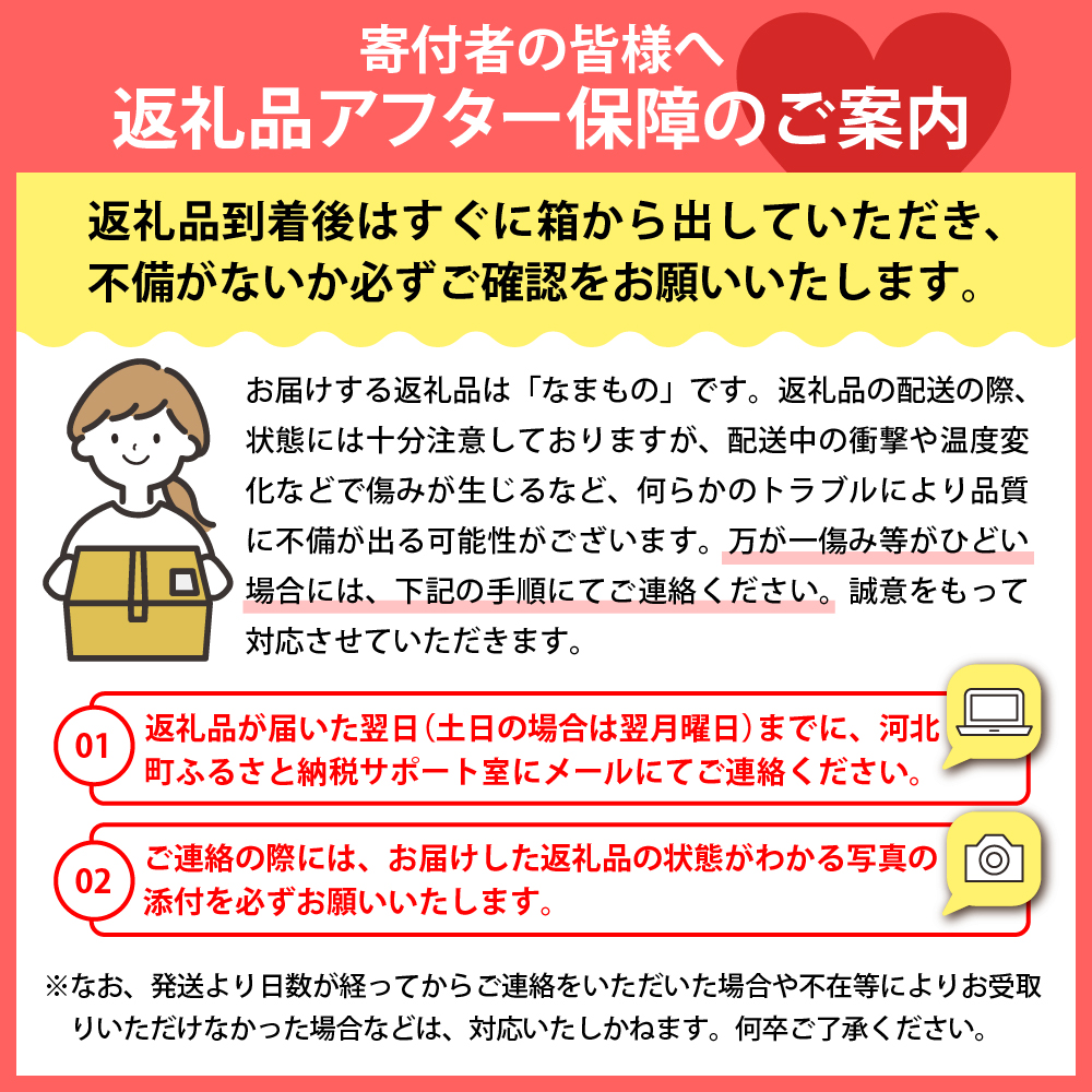 【令和8年産】白桃 品種おまかせ 3kg (8〜12玉前後) ギフト箱入 秀品 山形県産  【山形eLab】ka074-008-r8