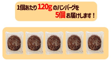 塩でもいけるこだわりの黒毛和牛100％ビーフハンバーグ　120ｇ×5個　ピンク岩塩付 MA11 