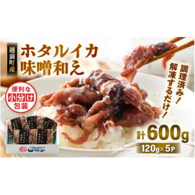 ふるさと納税 越前町 調理済 解凍するだけ ! 越前町産 味噌あえ ホタルイカ 計600g(120g × 5P)