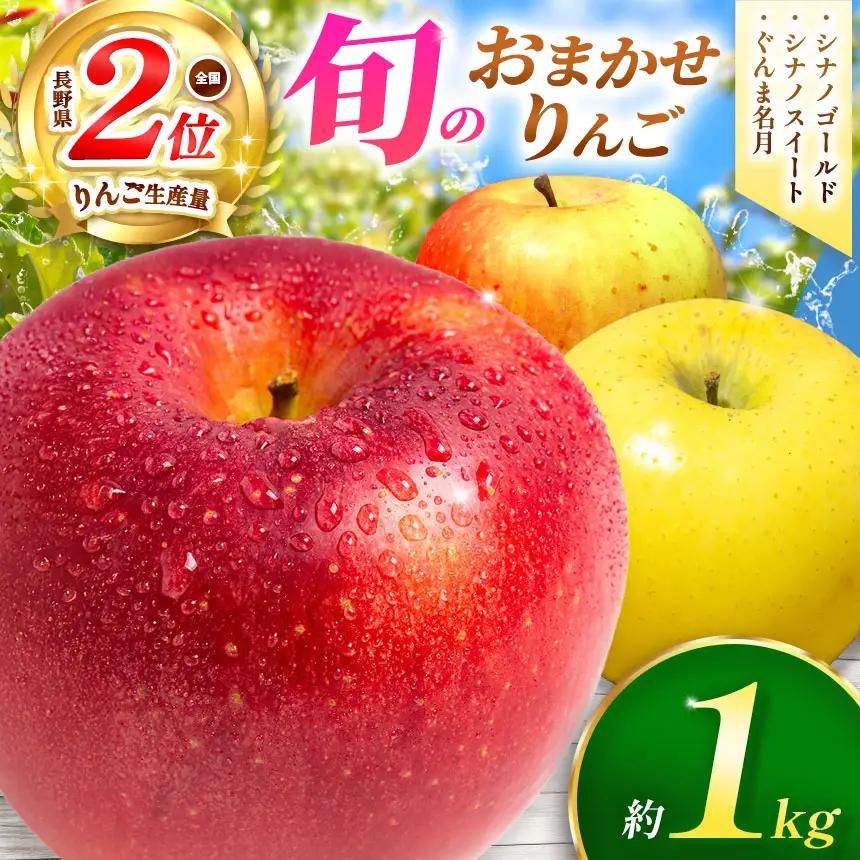 【 2026年 先行予約 】【 訳あり 】 旬 の おまかせ りんご 約 1kg ( 3～5玉 ) シナノゴールド シナノスイート ぐんま名月