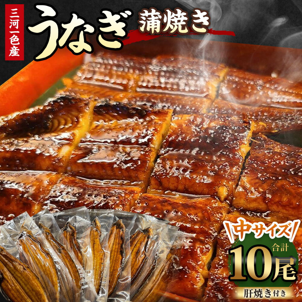 【ふるさと納税】三河一色産 うなぎ蒲焼き 中10尾 タレ付き お魚 湯煎 惣菜 セット 簡単調理 冷凍 幸田町 送料無料