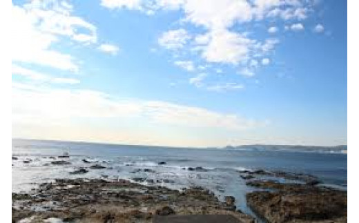 鴨川江見の磯で丁寧に手摘みしました。