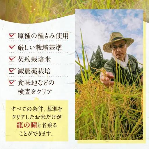 【2025年産米】（2026年9月発送）2kg×1 飛騨産・龍の瞳（いのちの壱）株式会社龍の瞳直送 米 令和7年産 精米【14-11【9】】りゅうのひとみ いのちのいち 下呂市 龍の瞳