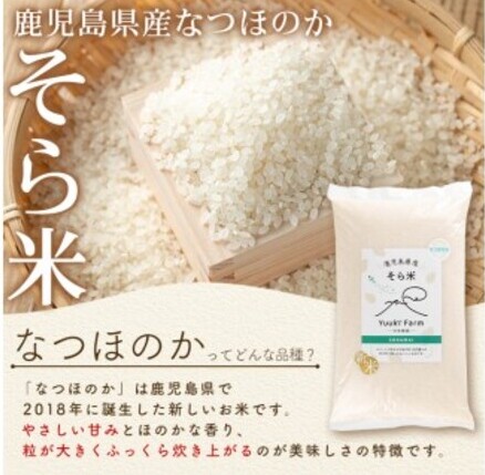 【A93003】＜先行予約受付中＞農家直送 令和8年産 新米 鹿児島県産 なつほのか 5kg 