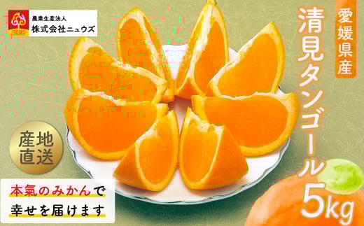 【先行予約】産地直送！愛媛県産清見タンゴール 5kg（2026年3月上旬より順次発送） 【 ふるさと納税 人気 おすすめ ランキング みかん ミカン 蜜柑 清見タンゴール フルーツ 果物 産地直送 ニュウズ 愛媛県産 愛媛県 伊方町 送料無料 】 IKTF022