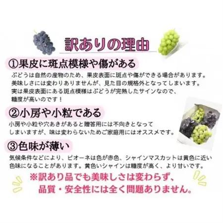 【2026年先行受付】お試しフルーツ王国岡山シャインマスカット1.2kg以上!　朝採れぶどう2～3房【配送不可地域：離島】【1633322】