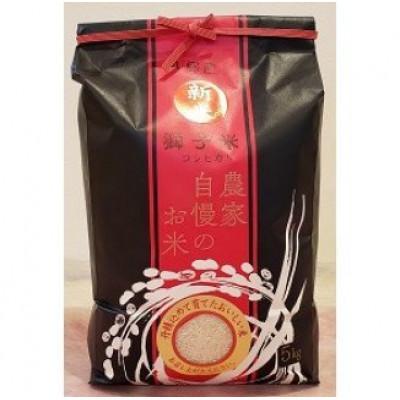 ふるさと納税 石岡市 【令和7年産】獅子米 コシヒカリ 精米 10kg