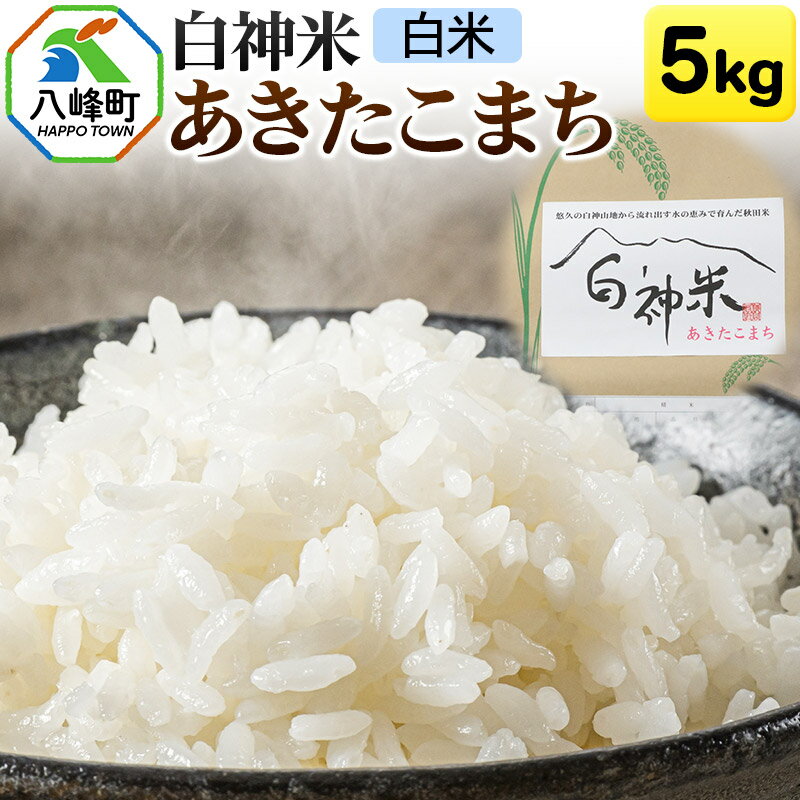 【ふるさと納税】白神米 あきたこまち 秋田県産 5kg【白米】令和7年産